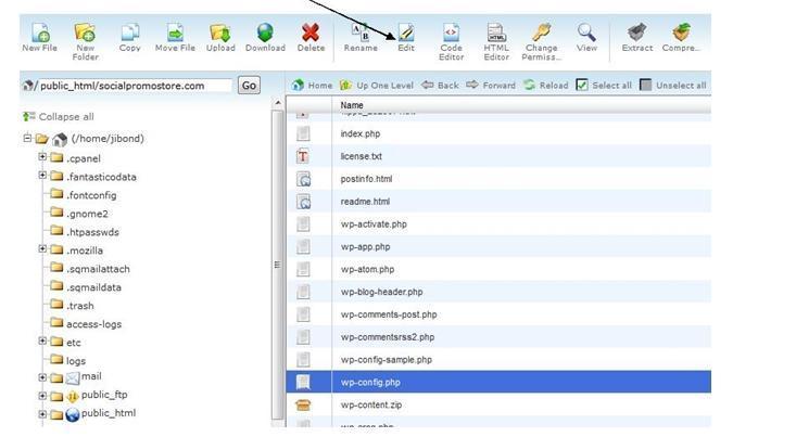 edit wp-config.php in file manager