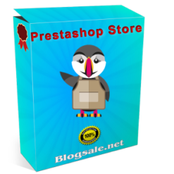 build-custom-prestashop-shop